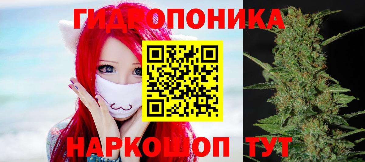 Бошки Шишки ГИДРОПОН  Марихуана Bruce Banner  Симферополь  Каннабис план  Вход с VPN  Шишки марихуана индика 